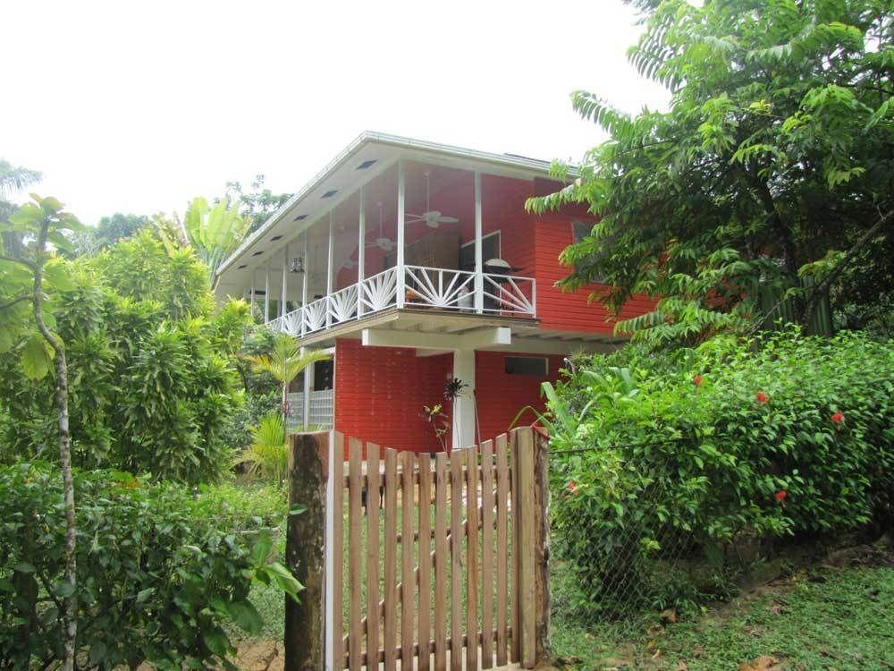 Turtle Beach House Bocas Town Dış mekan fotoğraf