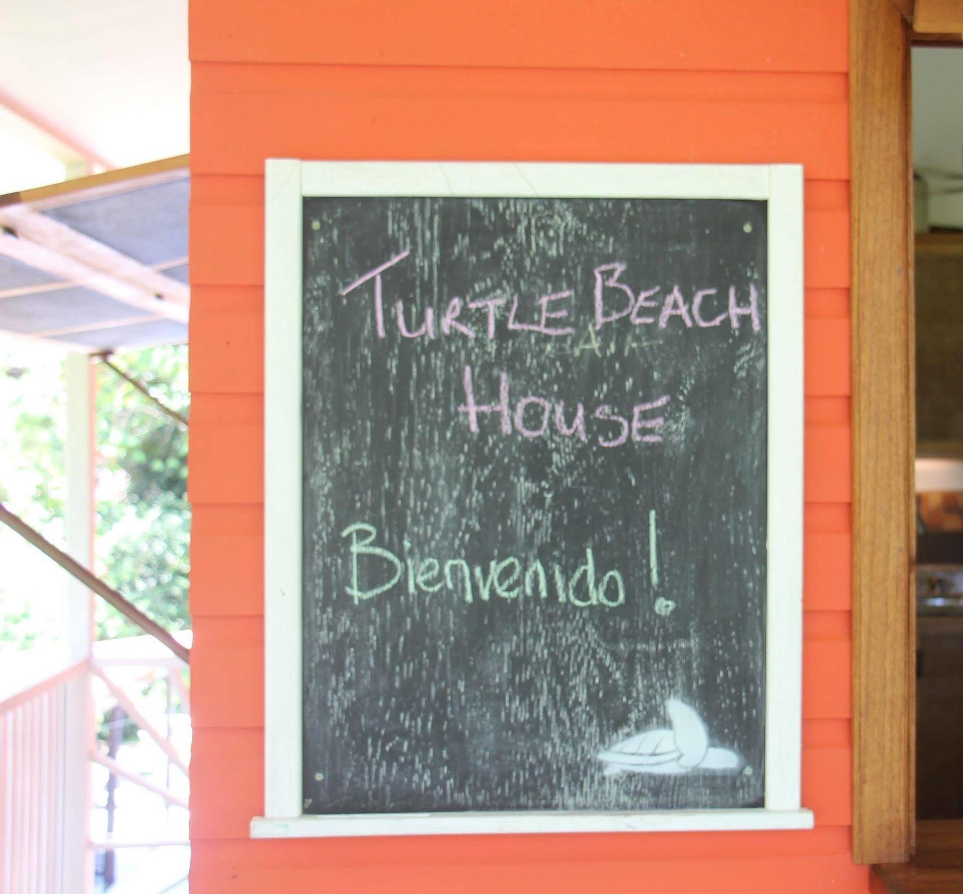 Turtle Beach House Bocas Town Dış mekan fotoğraf