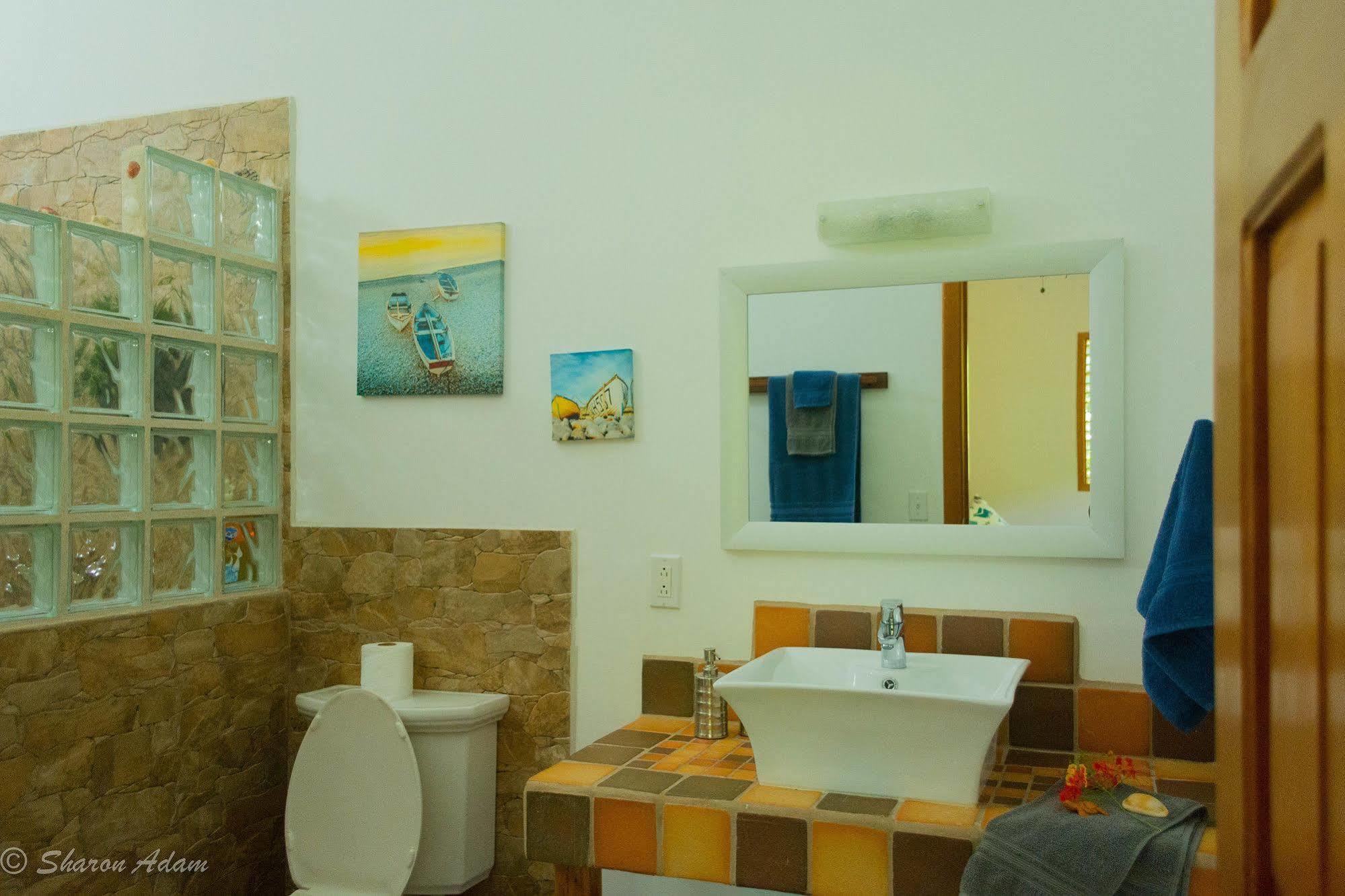 Turtle Beach House Bocas Town Dış mekan fotoğraf