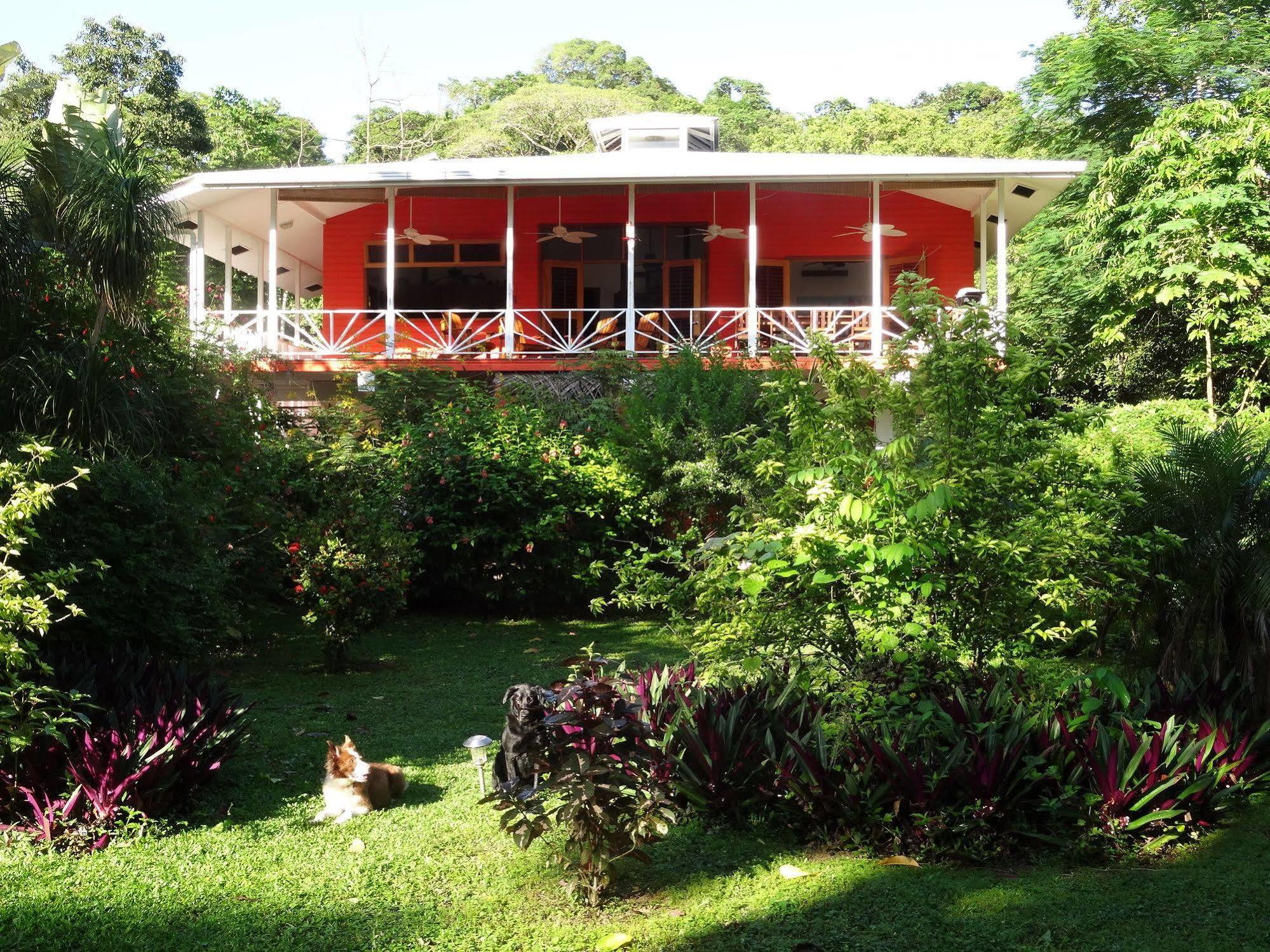 Turtle Beach House Bocas Town Dış mekan fotoğraf